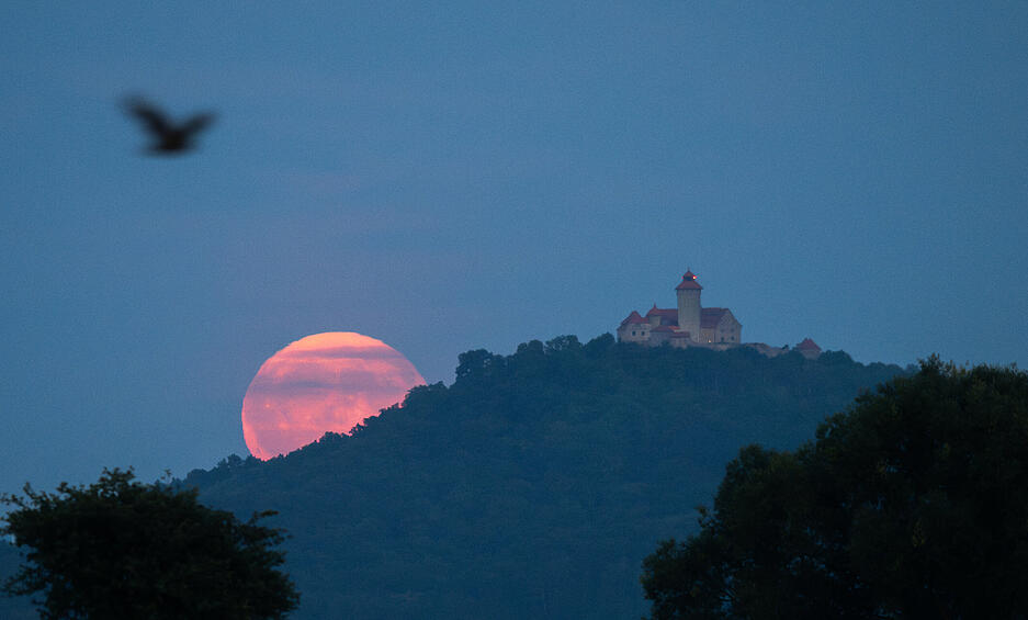 War ebenfalls in Baden-Württemberg sichtbar: Hier versteckt sich der Supermond hinter der Wachsenburg. War ebenfalls in Baden-Württemberg sichtbar: Hier versteckt sich der Supermond hinter der Wachsenburg.