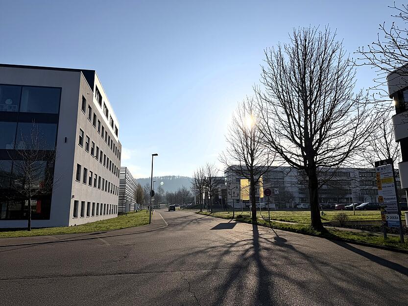 Der Fundort befindet sich im Bereich der Ferdinand-Braun-Stra&szlig;e in Heilbronn.