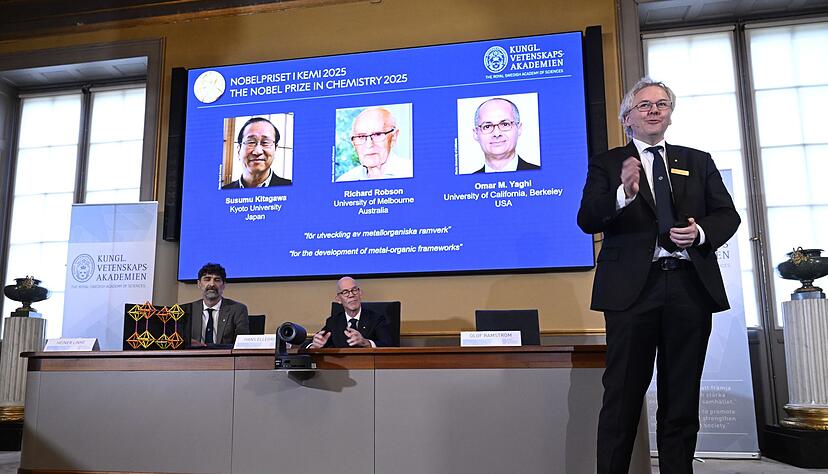 Mit ihrer Forscher legten die Chemiker die Basis für viele mögliche Problemlösungen. Mit ihrer Forscher legten die Chemiker die Basis für viele mögliche Problemlösungen.