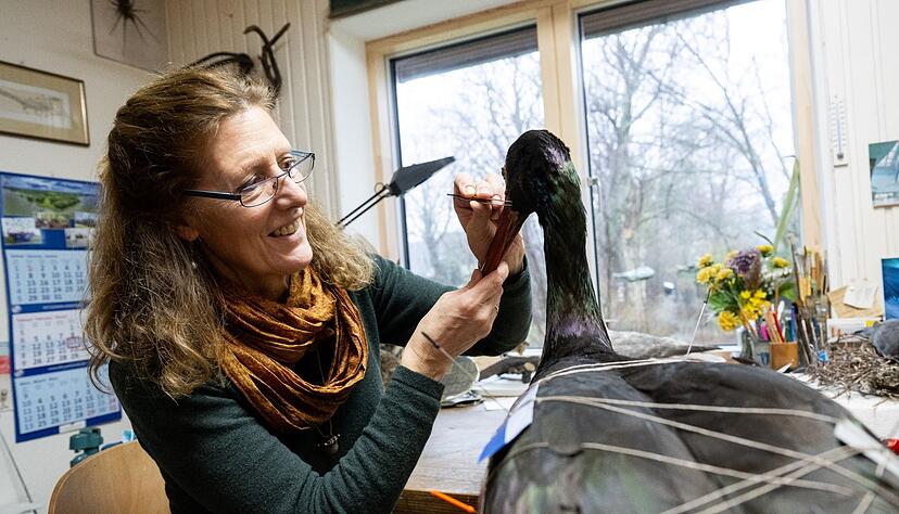 Etwas Farbe f&uuml;r den Schnabel: Pr&auml;paratorin Yvonne Fritzsche-Nehls beginnt nach dem finalen Trocknen eines Modells  mit der Retusche.