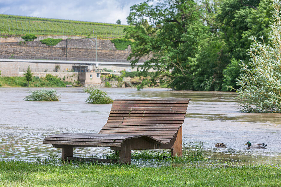 Neckar bei Lauffen führt Hochwasser