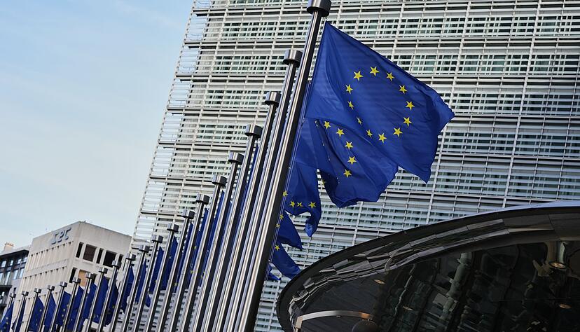 Die EU-Kommission will der Untersuchung Vorrang einräumen (Archivbild)