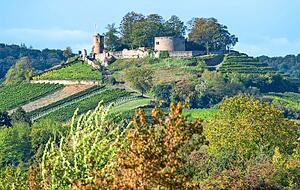 Die schlauen Frauen des Jahres 1140 sind der Stolz der Stadt. Die schlauen Frauen des Jahres 1140 sind der Stolz der Stadt.