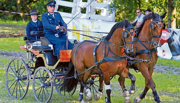 Hochkar&auml;tige Sportler zu Gast in Bretzfeld: Michael Brauchle holte 2012 bei der WM in Riesenbeck Mannschafts-Silber im Viersp&auml;nner.Foto: Alexander Bertok