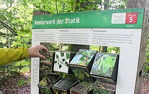 An den Stationen gibt es f&uuml;r die jungen Wanderer Info- und Quiztafeln.