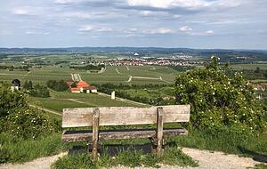 Die Aussicht vom fast 400 Meter hohen Michaelsberg. Foto: Lisa Könnecke
