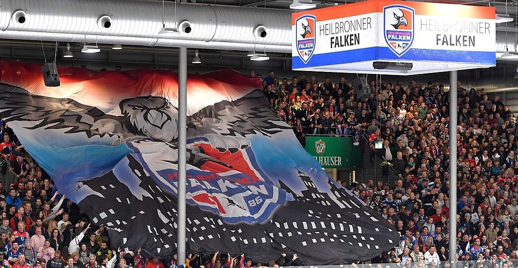 Das Aush&auml;ngeschild des Heilbronner Eishockeys ist die Profimannschaft Heilbronner Falken.