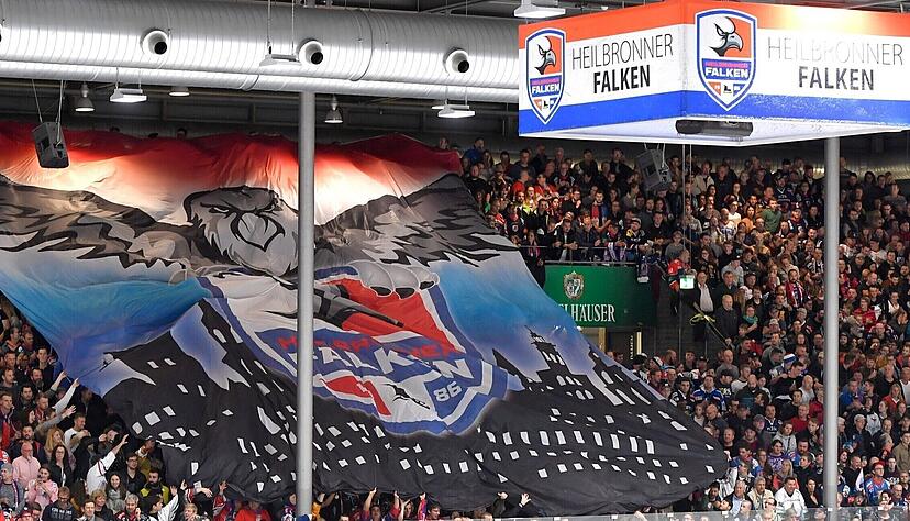 Das Aush&auml;ngeschild des Heilbronner Eishockeys ist die Profimannschaft Heilbronner Falken.
