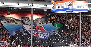 Das Aush&auml;ngeschild des Heilbronner Eishockeys ist die Profimannschaft Heilbronner Falken.