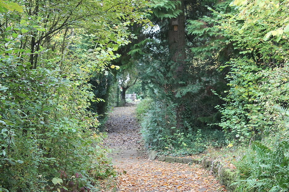 Viel Gr&uuml;n umgibt das Gel&auml;nde des Lebenszentrums Adelshofen.