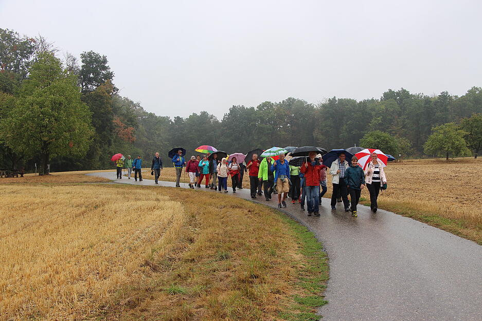 Lesersommer-Wanderung bei Criesbach