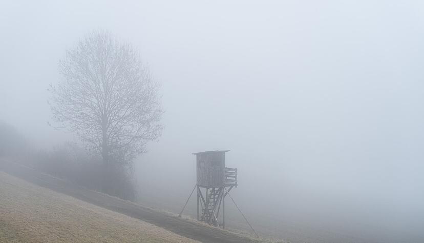Die kommenden Tage werden wolkig und neblig. (Symbolbild)