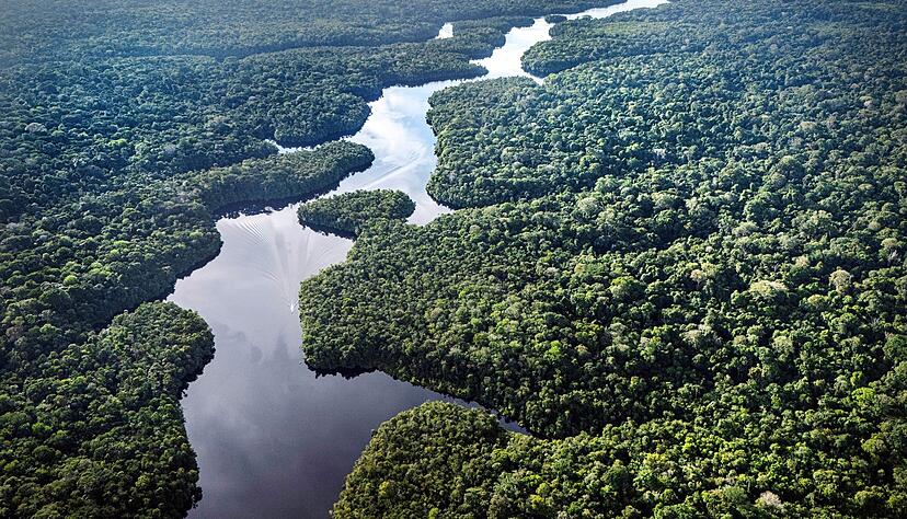 Der Amazonas: extrem wichtig f&uuml;rs Klima, aber enorm unter Stress. (Archivbild)