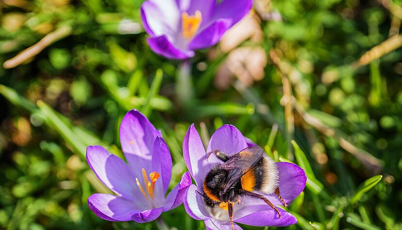 Das Wochenende bringt milde Temperaturen und viel Sonnenschein.