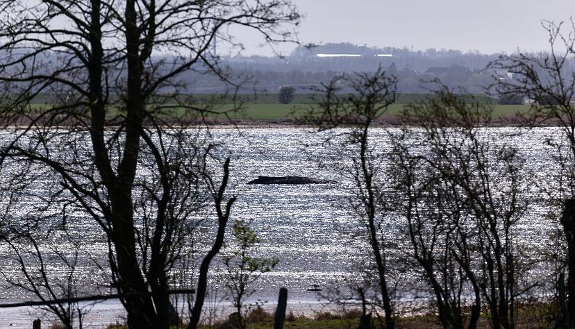 Jetzt soll auch die Wasserqualit&auml;t gepr&uuml;ft werden.