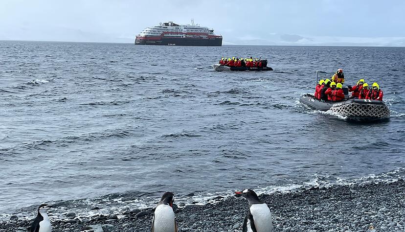 Sind die Pinguine wegen der vielen Besucher gestresst? Da gehen die Meinungen auseinander. Sind die Pinguine wegen der vielen Besucher gestresst? Da gehen die Meinungen auseinander.