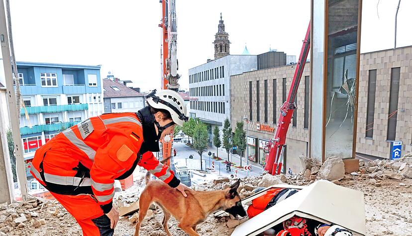 Vor der Kulisse der Stadt übt die Rettungshundestaffel den Ernstfall auf der Baustelle des einstigen Kaufhaus Barthel. Noomi macht ihre Sache gut: Für den Malinois ist es die erste Trümmersuche, Lob gibt es von Frauchen Claudia Reiner. Foto: Ralf Seidel Vor der Kulisse der Stadt übt die Rettungshundestaffel den Ernstfall auf der Baustelle des einstigen Kaufhaus Barthel. Noomi macht ihre Sache gut: Für den Malinois ist es die erste Trümmersuche, Lob gibt es von Frauchen Claudia Reiner. Foto: Ralf Seidel