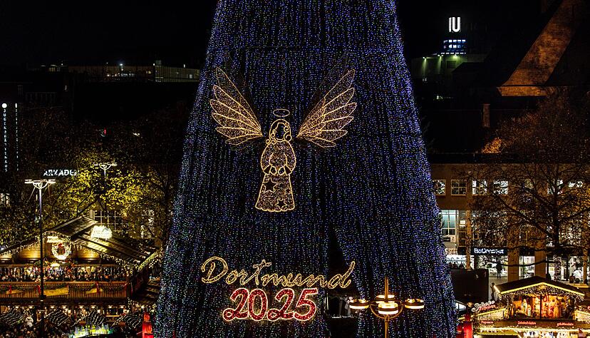 140.000 LEDs sorgen für die Beleuchtung des riesigen Baums. 140.000 LEDs sorgen für die Beleuchtung des riesigen Baums.