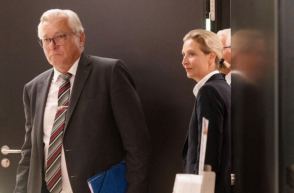 Ein Jahr später folgt ihm Alice Weidel in diesem Amt. Foto: dpa Ein Jahr später folgt ihm Alice Weidel in diesem Amt. Foto: dpa