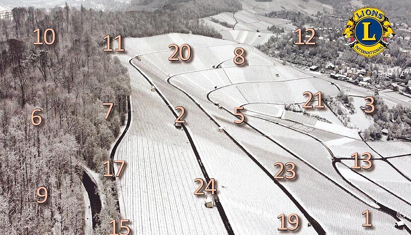 Ob es in diesem Jahr weiße Weihnachten gibt? Auf dem Foto des Adventskalenders 2023 stimmt ein "angezuckerter" Wartberg auf den Winter ein.
Foto: Lions Club Heilbronn