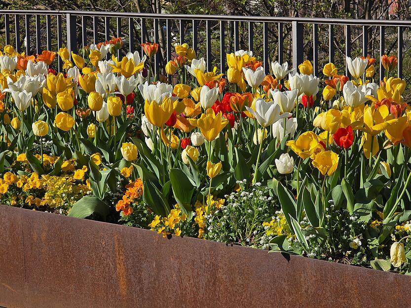 Vor allem am Neckar ist es aktuell bunt. Vor allem am Neckar ist es aktuell bunt.