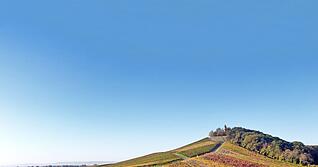 Heuchelberg mit Heuchelberger Warte Leingarten im Herbst