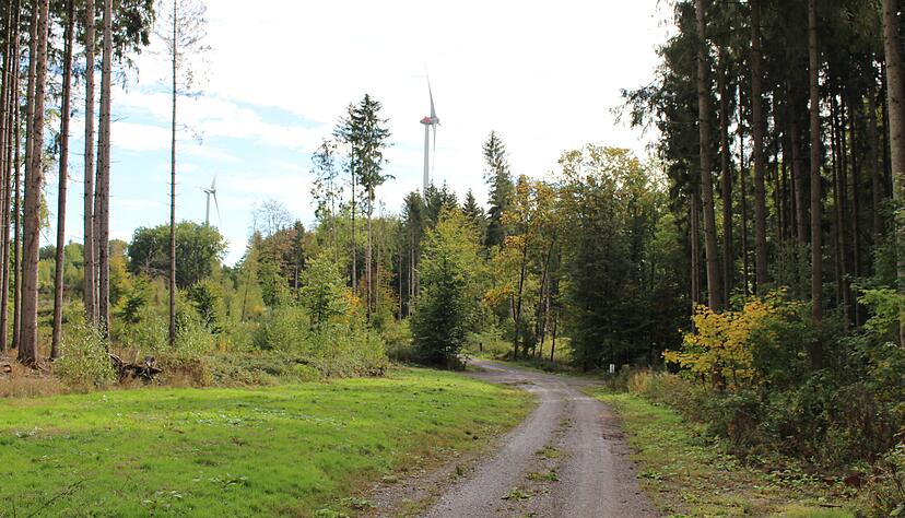 Windr&auml;der geh&ouml;ren inzwischen zum Bild des Harth&auml;user Walds dazu. Sie beeinflussen aber auch die Arbeit an B&auml;umen und Wegen. Fotos: Katharina M&uuml;ller