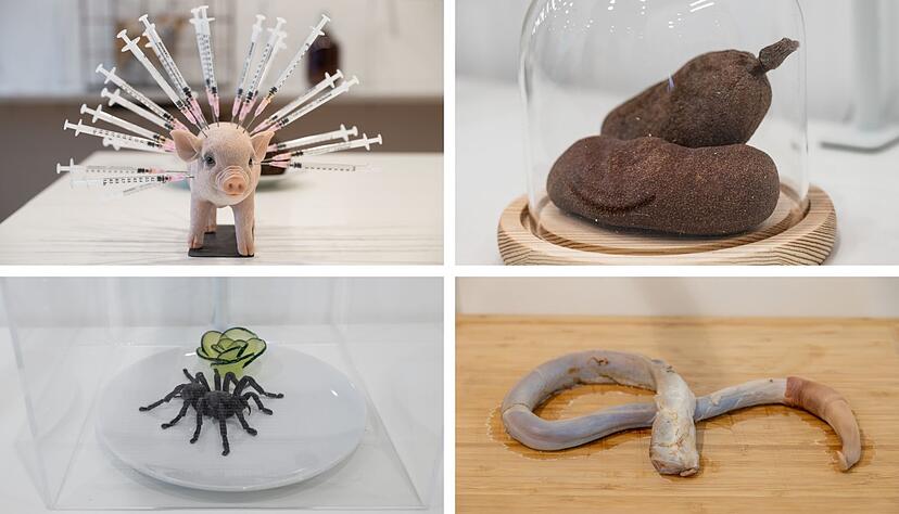 Von kurios bis eklig: Im Disgusting Food Museum, das derzeit in Stuttgart gastiert, werden Lebensmittel ausgestellt. Besucher k&ouml;nnen einige davon auch an der Tasting Bar probieren.