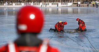 F&uuml;r den Hund kam jede Hilfe zu sp&auml;t. (Symbolbild)