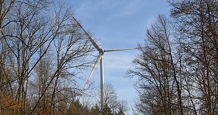 Zwischen Neckarsulm und Erlenbach könnten in einigen Jahren Windkraftanlagen im Wald gebaut werden. In einem ersten Schritt sind vier bis fünf Windräder denkbar.
Foto: Archiv/Pfäffle