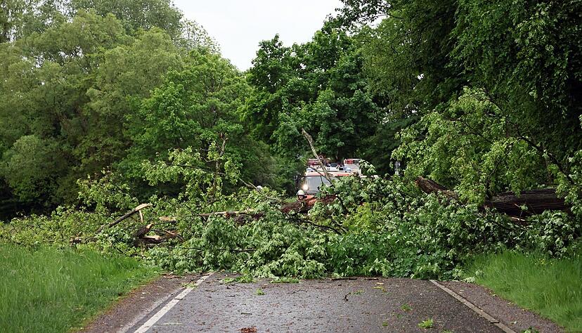 Die Feuerwehr beseitigt umgest&uuml;rzte B&auml;ume nach einem Unwetter in Aschaffenburg. Zu mehreren Unwettereins&auml;tzen mussten die Feuerwehren in Stadt und Kreis Aschaffenburg ausr&uuml;cken.