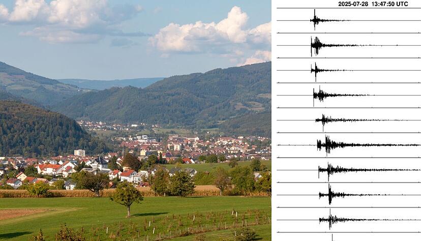 In Schopfheim im Landkreis Lörrach bebt am Montagnachmittag die Erde – die Graphen zeigen die Ausschläge auf der Richterskala der umliegenden Messstationen.