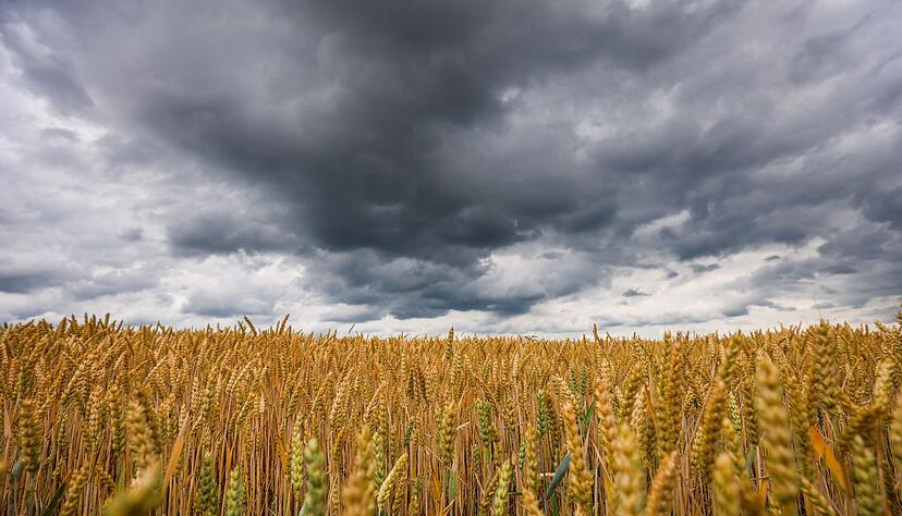 Dunkle, dichte Wolken und k&uuml;hlere Temperaturen - der DWD erwartet jedoch nur vor&uuml;bergehend das Ende der Sommerhitze. (Symbolbild)