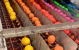 Nach dem Kochen kommt die Farbe: Die Eier werden bunt angesprüht.