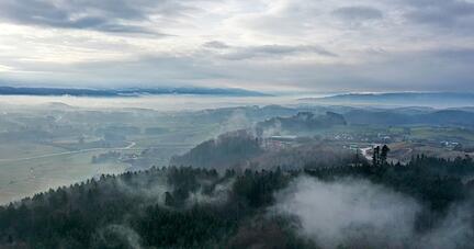 Nebel liegt über dem Wald bei Obereisenbach im Allgäu. Böden und Pflanzen speichern CO2 - es ist natürlicher Klimaschutz.