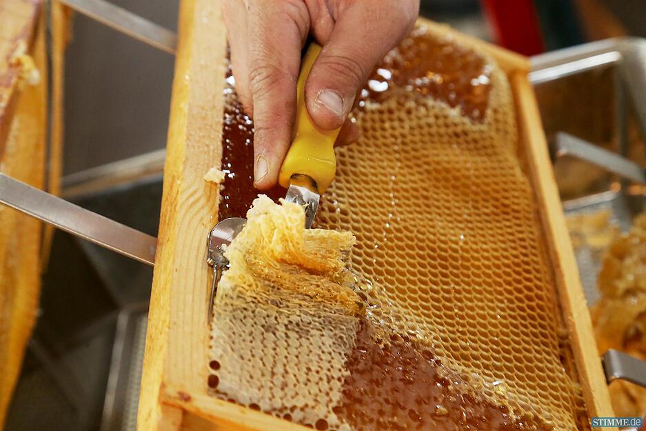 Honig auf der Kilianskirche Honig auf der Kilianskirche