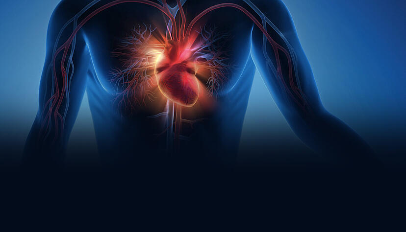 Rund 70-mal in der Minute schl&auml;gt das menschliche Herz.