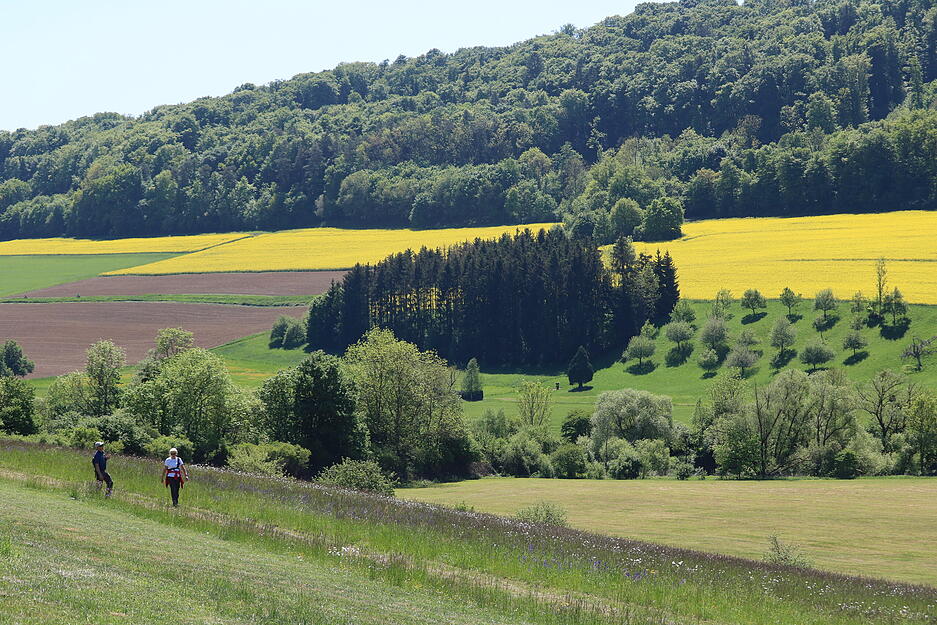 Bei der Jagsttal-Wiesen-Wanderung ging es am Samstag von Ailringen nach Unterregenbach. Auf 19 Kilometern konnten die Wanderer die Landschaft genießen. Bei der Jagsttal-Wiesen-Wanderung ging es am Samstag von Ailringen nach Unterregenbach. Auf 19 Kilometern konnten die Wanderer die Landschaft genießen.