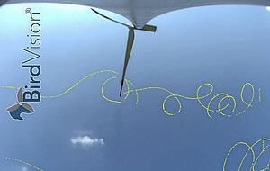 Der Flug eines Mäusebussards auf dem Bildschirm von BirdVision. Der Flug eines Mäusebussards auf dem Bildschirm von BirdVision.