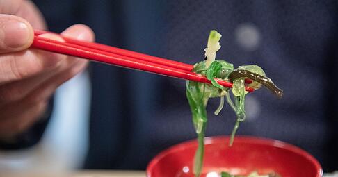 Viele Algenprodukte bieten keine klaren Angaben zum Jodgehalt: Verbraucher erhalten oft keine Orientierung zur sicheren Verzehrmenge.