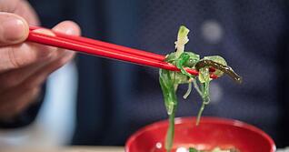 Viele Algenprodukte bieten keine klaren Angaben zum Jodgehalt: Verbraucher erhalten oft keine Orientierung zur sicheren Verzehrmenge.