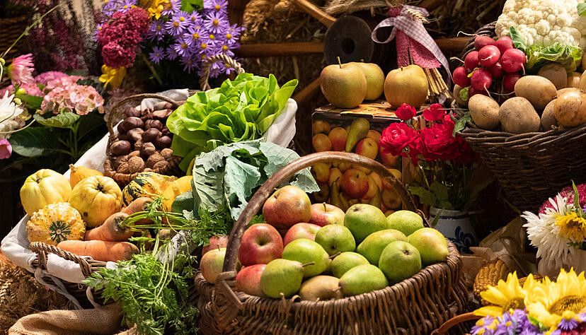 Die deutsche Gesellschaft für Ernährung (DGE) präsentiert neue Ernährungsempfehlungen. Die deutsche Gesellschaft für Ernährung (DGE) präsentiert neue Ernährungsempfehlungen.