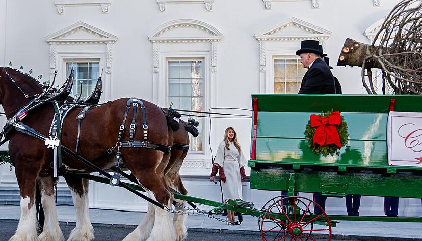 Der Weihnachtsbaum kommt im Weißen Haus an. Der Weihnachtsbaum kommt im Weißen Haus an.