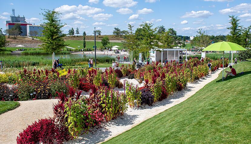 Menschen erkunden die Buga im Sommer 2019.