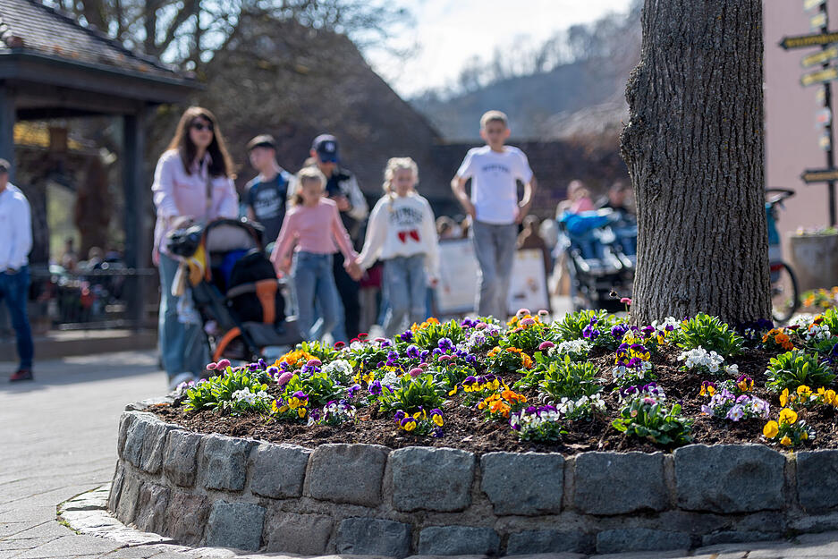 Im Erlebnispark Tripsdrill sind passend zu den Pre-Opening-Wochenenden bereits die ersten Blumen gepflanzt.
