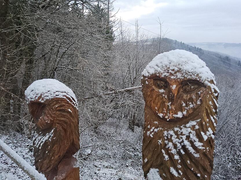 Nördlich der Burg Maienfels sitzen die zwei Eulen Adelheid und Nikolaus über dem Brettachtal – am 30. Dezember sogar mit Schneemütze. Nördlich der Burg Maienfels sitzen die zwei Eulen Adelheid und Nikolaus über dem Brettachtal – am 30. Dezember sogar mit Schneemütze.