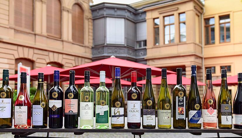 Die klassizistische Wein-Villa an der C&auml;cilienstra&szlig;e gilt als Schaufenster des Heilbronner Weinbaus. Durch die Ersterw&auml;hnung anno 766 ist Heilbronn die &auml;lteste Weinstadt W&uuml;rttembergs.
Foto: Archiv/Kunz