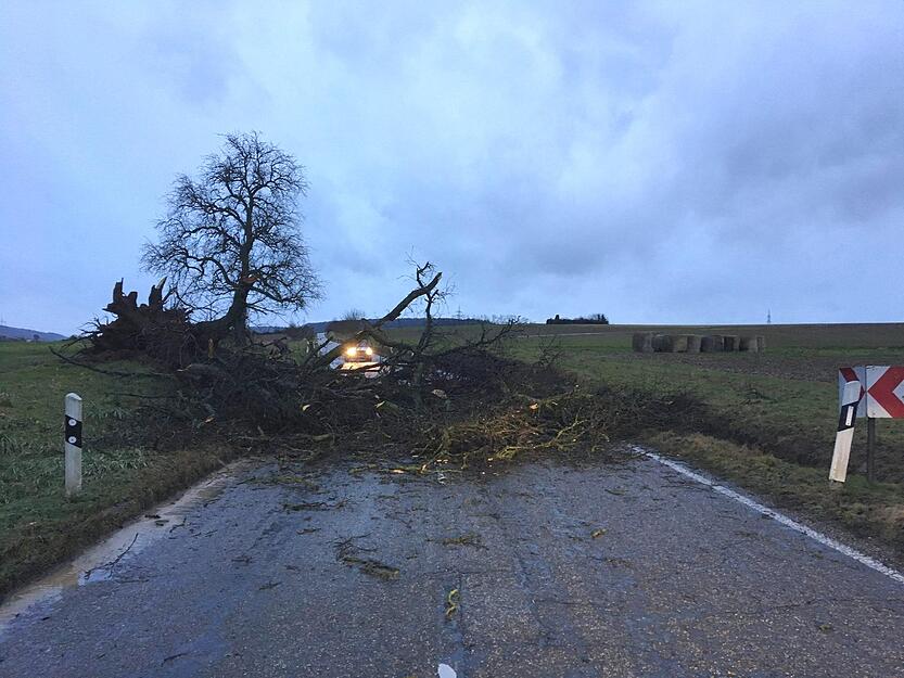 Am 3. Januar zog Sturmtief Burglind &uuml;ber die Region und sorgte unter anderem f&uuml;r abgebrochene B&auml;ume - so wie hier zwischen Klingenberg und Leingarten.