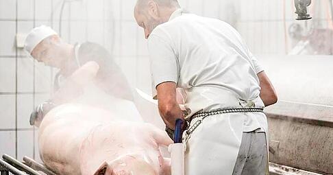 Um das Schwein in die Brühmaschine zu heben, ist Teamarbeit gefragt. Um das Schwein in die Brühmaschine zu heben, ist Teamarbeit gefragt.