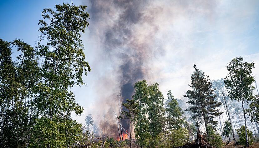 Die Waldbrandgefahr ist in Baden-Württemberg derzeit hoch. Ursachen sind die hohen Temperaturen, geringe Luftfeuchtigkeit und die vertrocknete Vegetation.